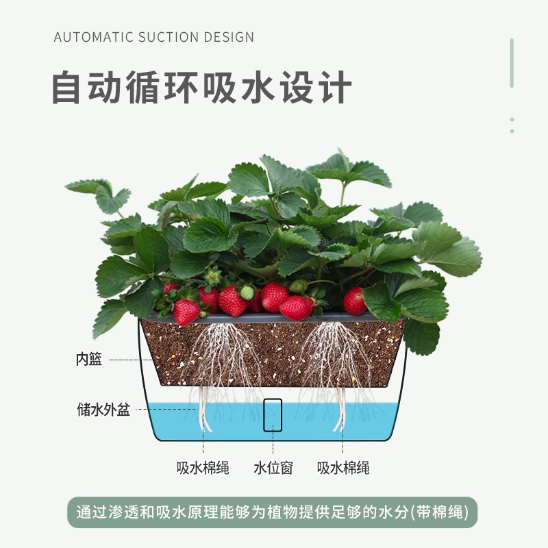 阳台种菜盆家庭蔬菜种植盆专用箱自吸水室内草莓盆栽懒人塑料花盆