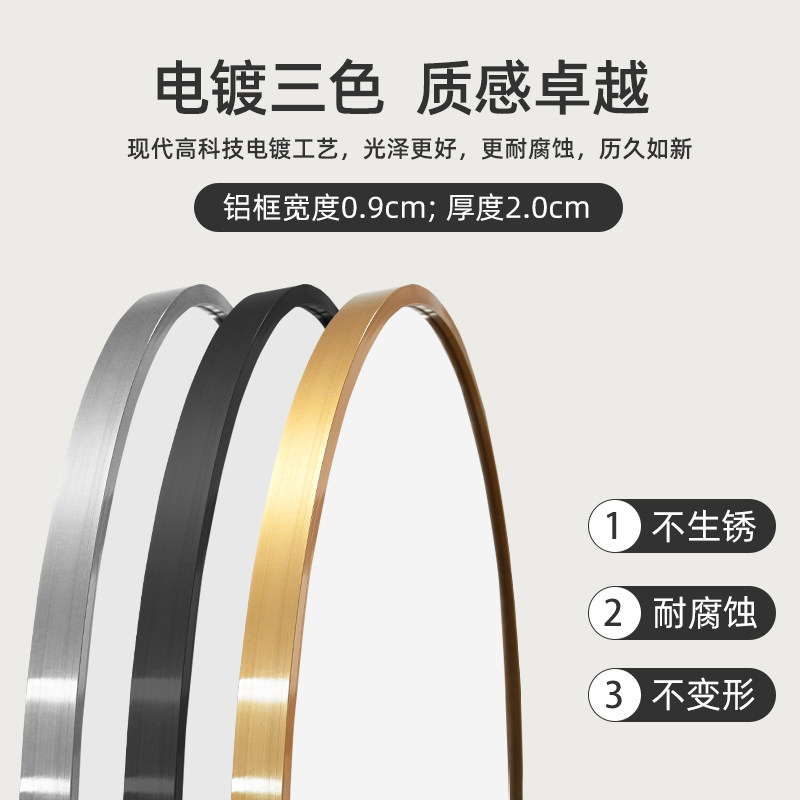 轻奢铝合金边框智能全身镜壁挂式椭圆形试衣镜挂墙镜子带灯穿衣镜