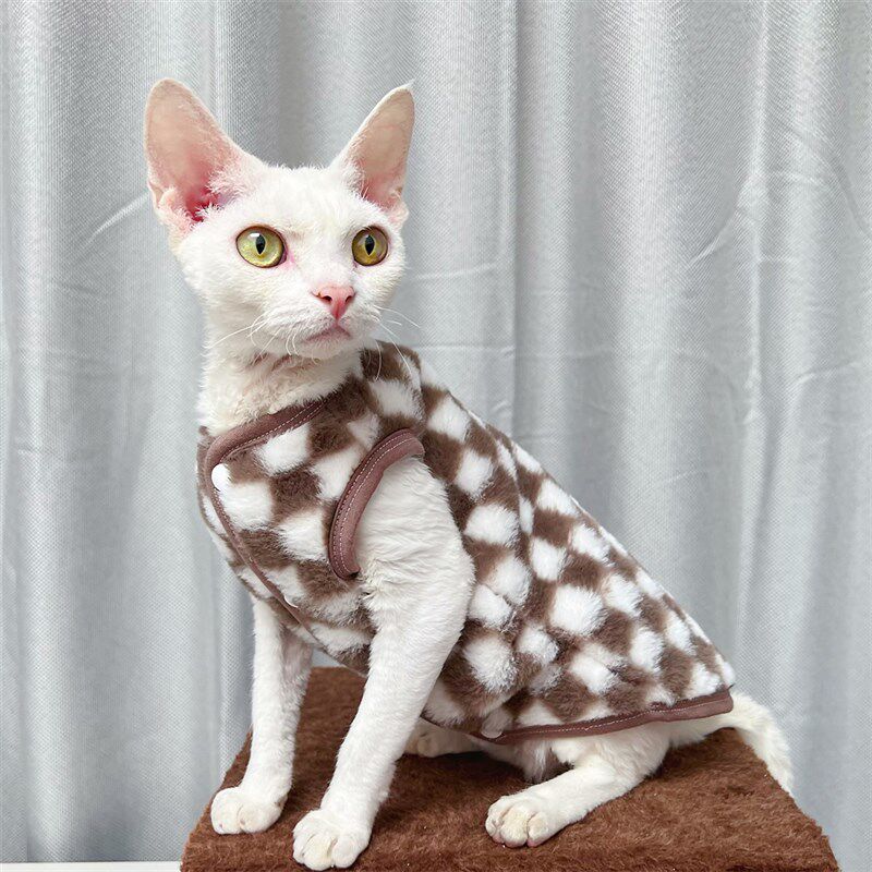 兔毛斯芬克斯无毛猫德文衣服家居服马甲矮脚背心奥粒加绒加厚秋冬