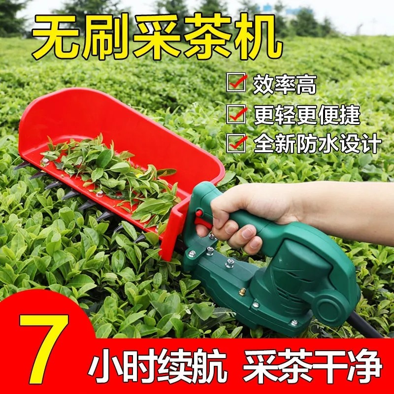 电动采茶机新款充电式无刷锂电单人小型茶叶修剪采茶神器绿篱机