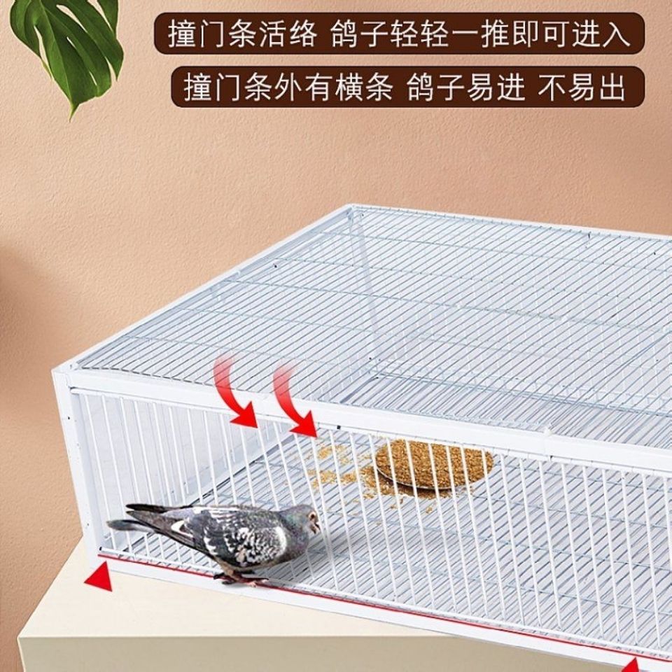 加密天落笼只进不出鸽子笼户外信鸽自动活络撞门笼拼装笼