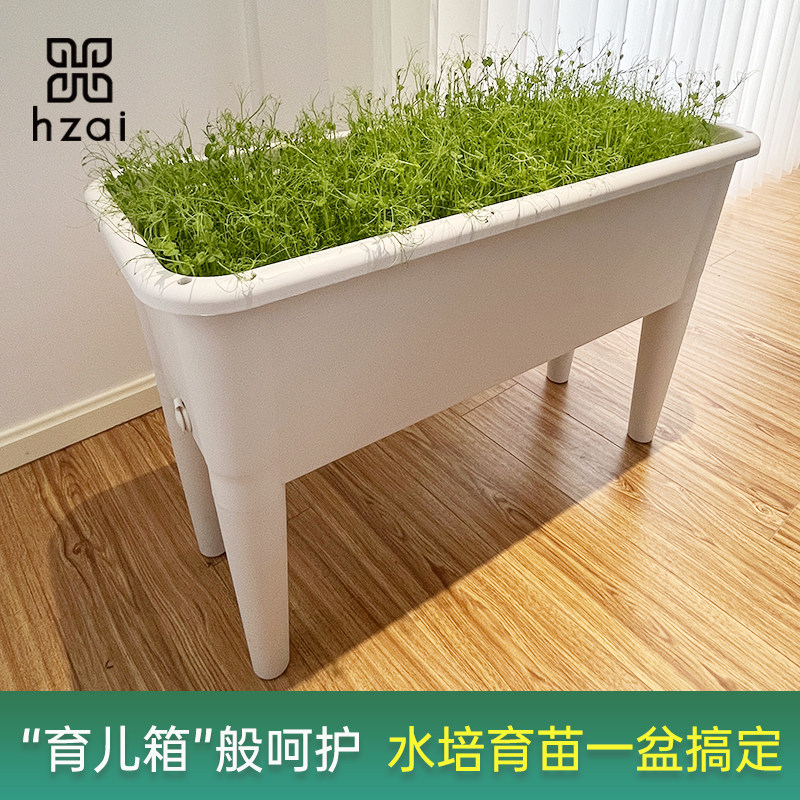 豆芽发芽盆芽苗菜育苗菜盆豆苗种植无土栽培设备水培蔬菜芽菜小麦
