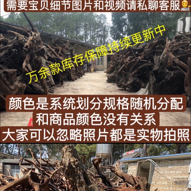 120-129cm大型精品造景沉木南美多枝拱桥树桩龟晒台紫柚木枯木