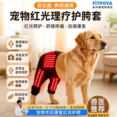 狗猫红外热敷护胯术后恢复带