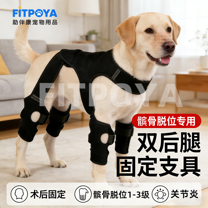 宠物狗狗支具小型犬大腿骨折护具十字韧带撕裂髌骨脱位双后腿固定