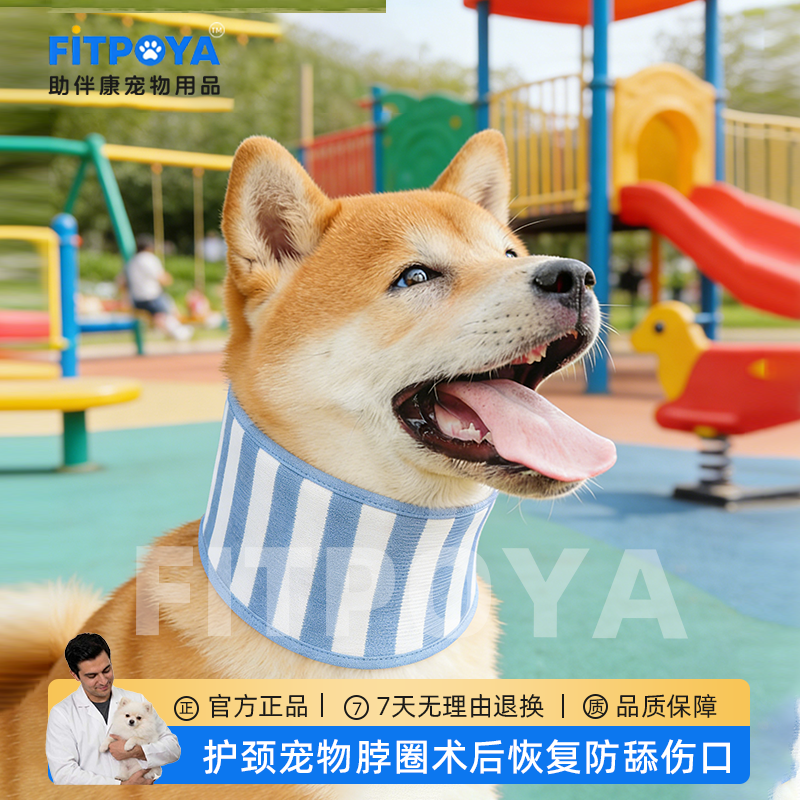 宠物颈托小型犬护脖狗狗颈椎保护套猫咪护颈老年犬脖子受伤固定