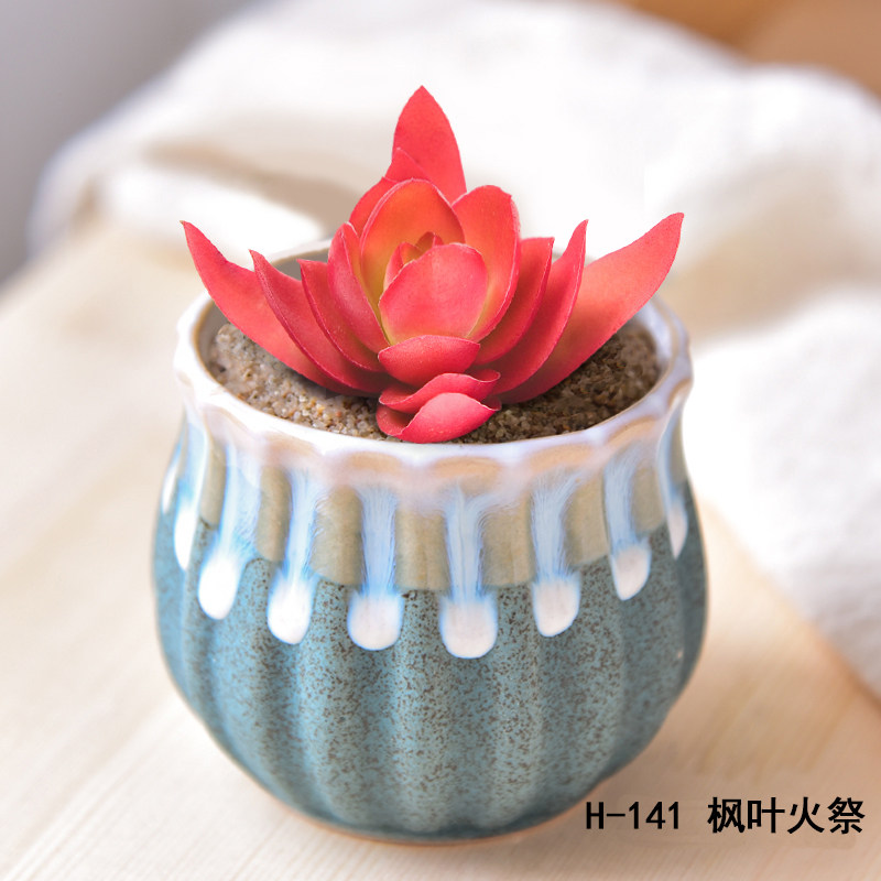 多肉植物含盆带土带肉肉