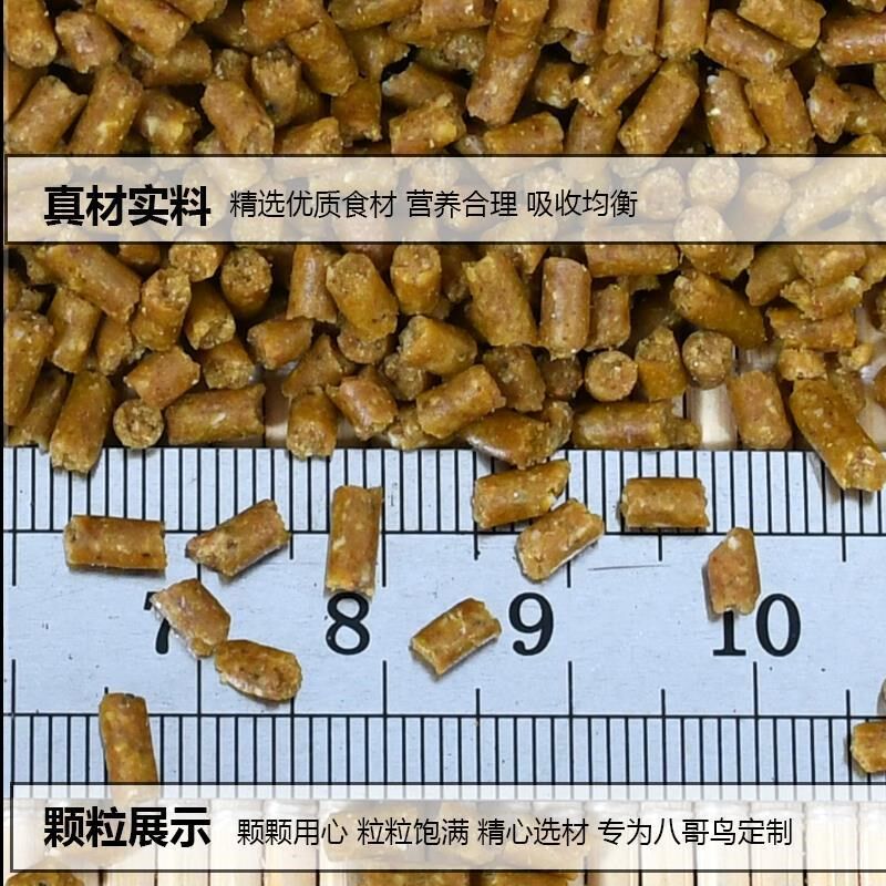 八哥鸟饲料鸟食八哥粮鹩哥海八黑八哥专用精品营养料鸟粮开