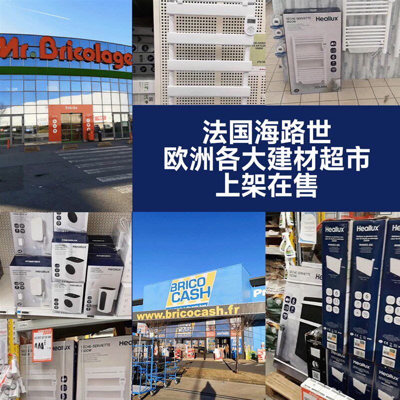 法国海路世电风扇无线直流变频风扇家用落地扇轻音充电空气循环扇