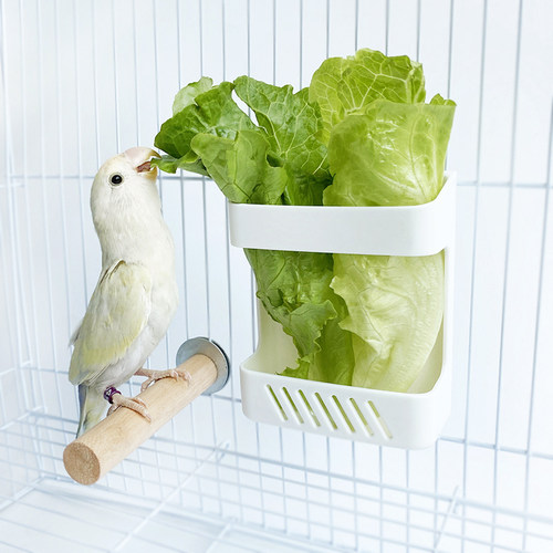 包邮鹦鹉鸟类专用果蔬菜喂食器果蔬菜架蔬菜夹果蔬菜盒牡丹