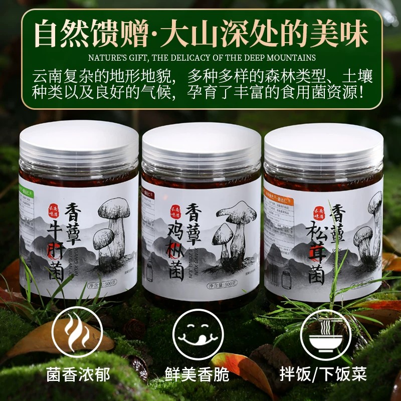 鸡枞菌云南特产批发牛肝菌松茸菌油炸即食菌菇酱零食下饭菜菌子酱
