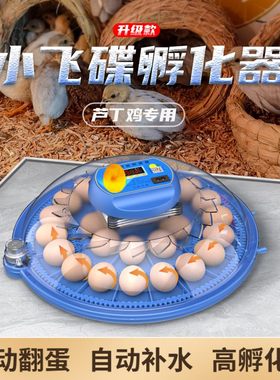 威振1/4寸套筒扳手碟孵化器小型家用迷你孵化机智能全自动鸟蛋芦