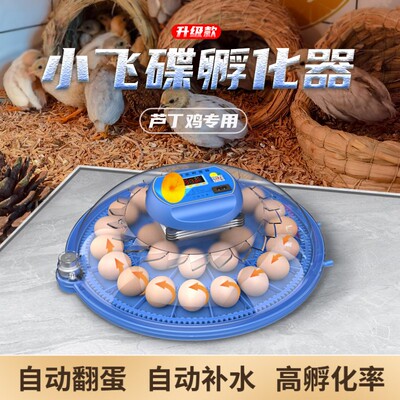 威振1/4寸套筒扳手碟孵化器小型家用迷你孵化机智能全自动鸟蛋芦