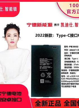 凯迪仕智能门锁宁德时代 K20V/K20Pro/K20MaxPuls/Z1Pro锂电池