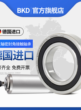 德国BKD进口电主轴轴承H7008C H7009C H7010C H7011C/RZ/RS/P4/P2