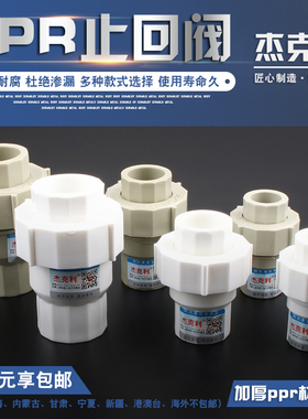 PPR止回阀止逆阀塑料配件逆止阀202532 4分6分1寸PPR水管管件配件