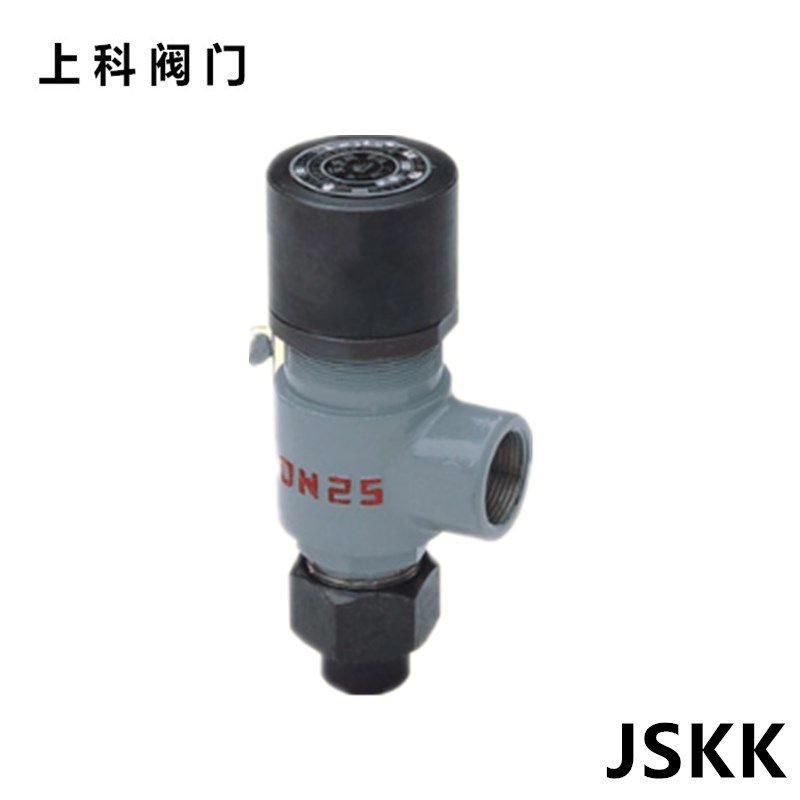 安全阀泄压阀氧气天然气氨气不锈钢弹簧微启式防爆阀A21F/W/H-16P