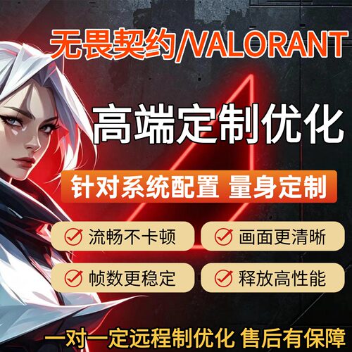 无畏契约 瓦洛兰特电脑系统量身定调试优化掉帧数卡顿画质提升fps