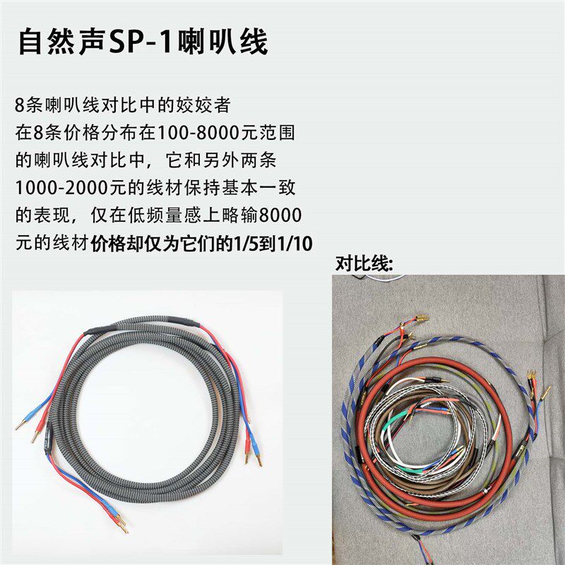 自然声SP-1喇叭线6平方4N无氧铜8条比较的结果