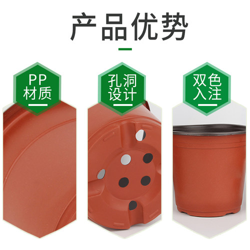 双色盆育苗盆营养钵育苗杯营养杯塑料一次性花盆加厚多肉