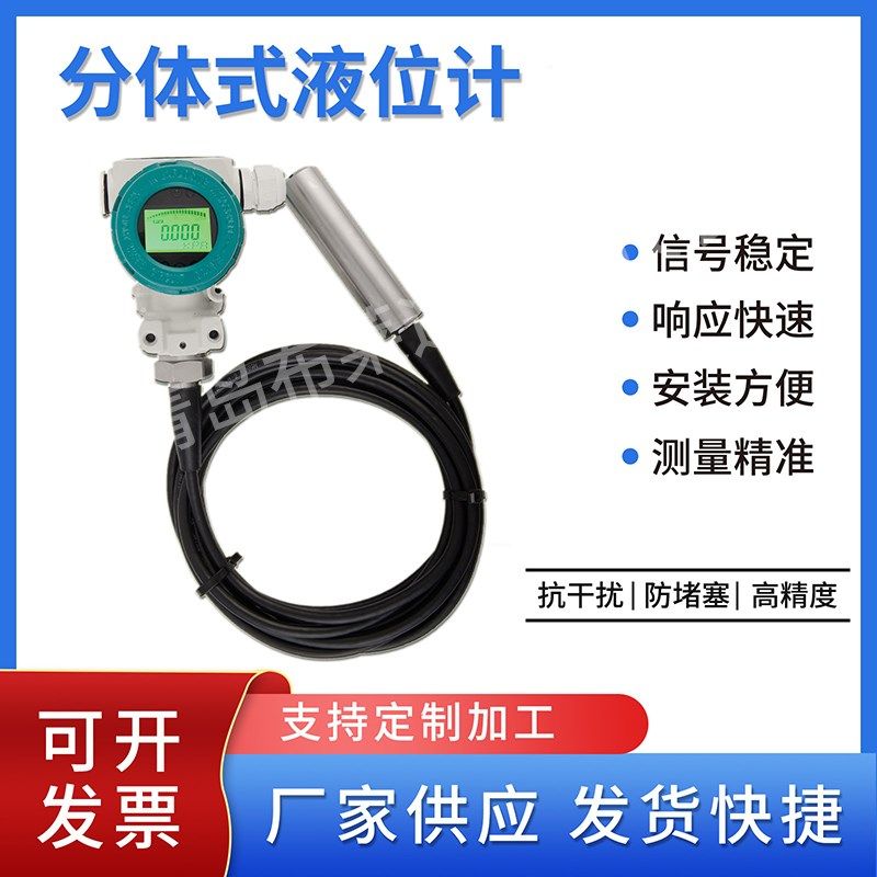 布莱迪2088分体投入式液位变送器数字现场显示0.5级精度防爆
