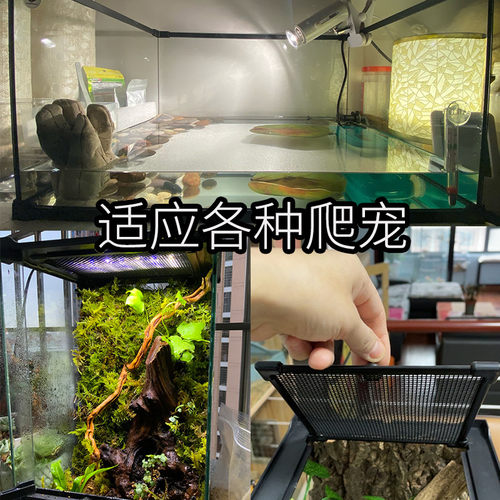 乌龟玻璃缸蛇雨林缸爬虫缸爬宠蜥蜴角蛙守宫蜘蛛专用饲养箱养殖盒