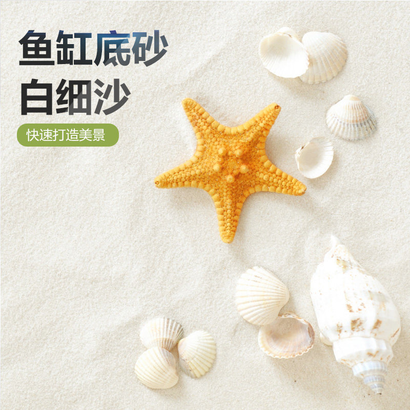 鱼缸白细沙珊瑚砂鱼缸装饰造景海缸三湖慈鲷鱼寄居蟹底沙化妆沙图片