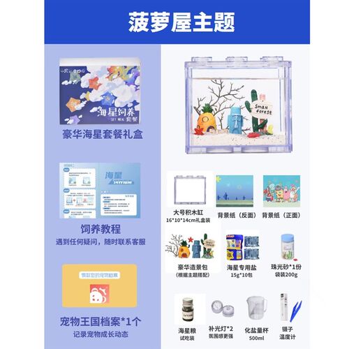 【六一礼物海星套餐】儿童节桌面宿舍海洋海燕海星小宠物