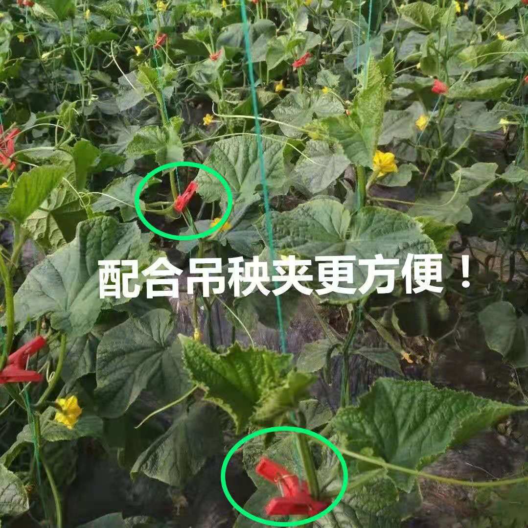 吊秧夹子大棚黄瓜西红柿吊秧夹番茄子农用吊蔓夹扶蔓绑蔓落蔓农用