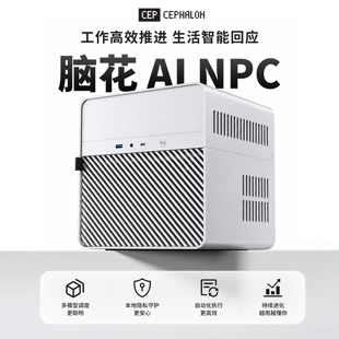 【脑花 AI NPC】高性能算力智能体本地ai大模型工作站AMD锐龙395