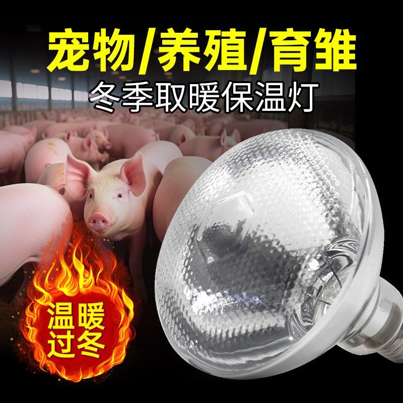 华畜250w兽用保温灯养殖场专用加厚取暖灯泡小鸡鸭仔猪舍用加热灯