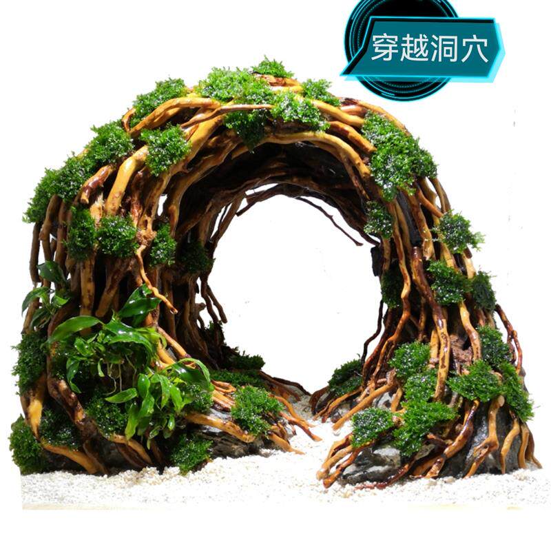 穿越洞穴+造景骨架+鱼缸拱桥+沉木+杜鹃根+阴性水草+++鱼缸摆件