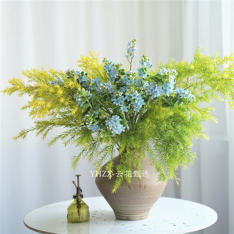 【云花甄选】绿野仙踪居家绿植鲜花云南昆明空运包邮玄关客厅摆放