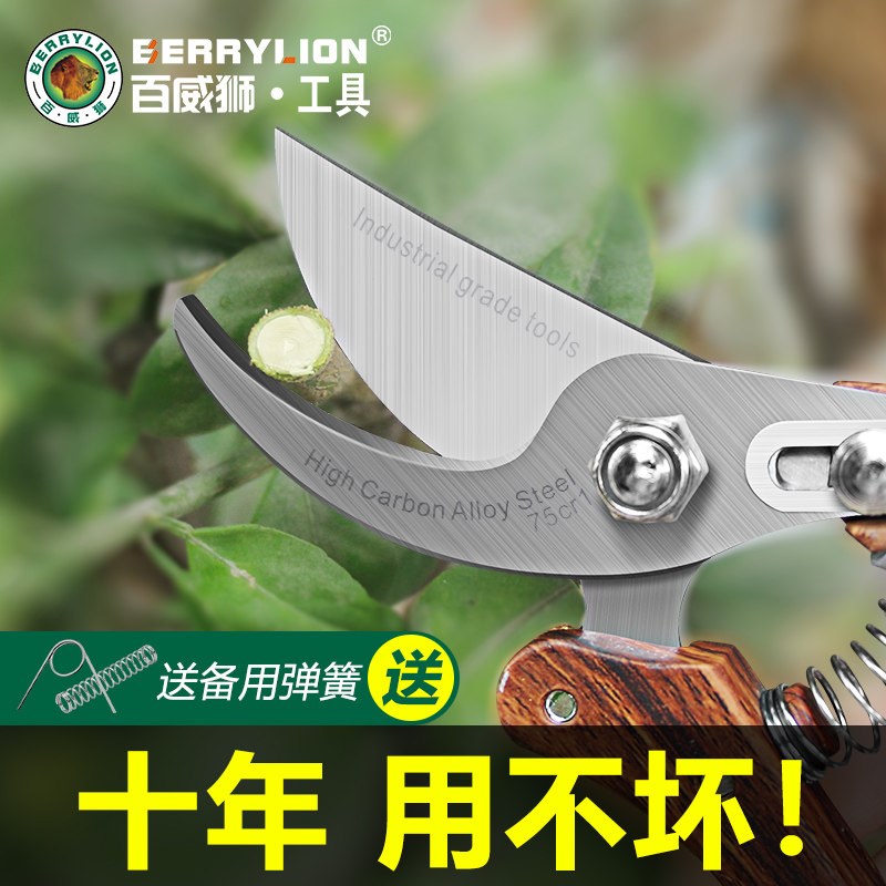 百威狮剪枝剪弹簧园林花艺修剪树枝药材果树剪刀粗大花剪园艺剪子图片