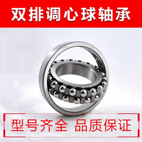 不锈钢轴承S2200 2201 2202 2203 2204 2205 2206 2207 2208 RS