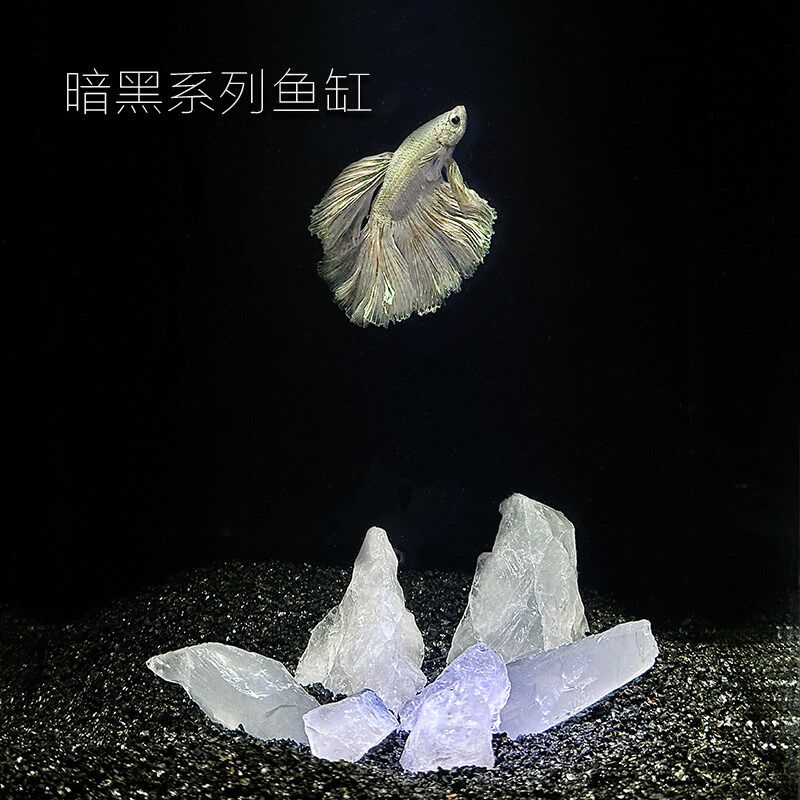 小型鱼缸网红斗鱼专用缸桌面高级造景超白玻璃整套过滤器