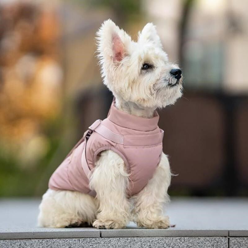 惠比特棉衣 宠物秋冬保暖棉背心中小型犬户外防风泰迪马甲可牵引