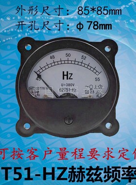 62T51-HZ指针式赫兹频率表45-55Hz 交流220V/380V 仪器仪表可定做