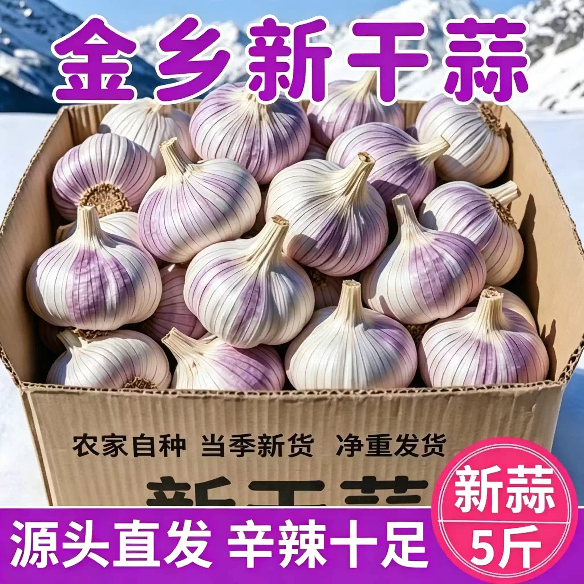 【整箱5斤】金乡大蒜头新干蒜正宗白皮大蒜新鲜5斤家用商用批发价