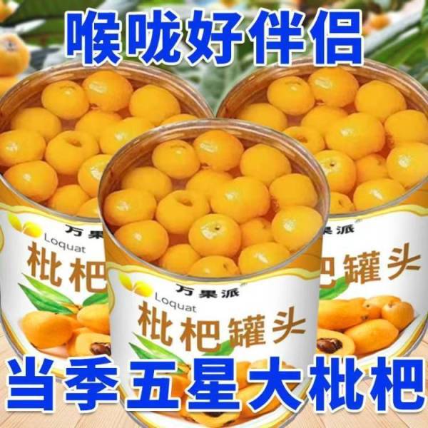 【特价6罐】新日期新鲜枇杷大果现摘即食玻璃瓶装一整箱枇杷罐头