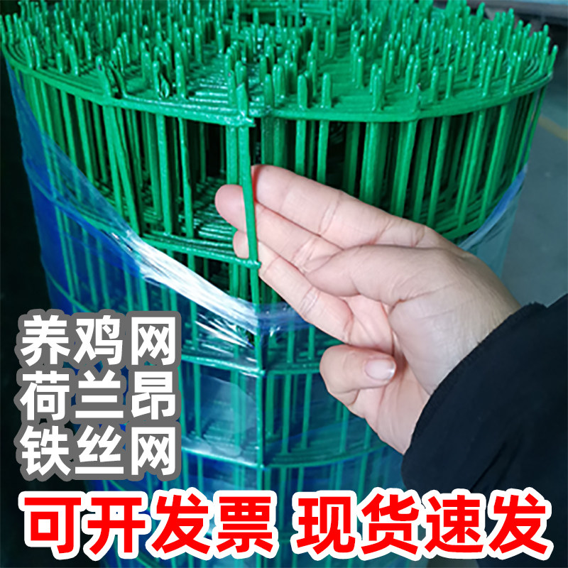 硬塑隔离网荷兰铁丝网养殖网养鸡网鱼塘防护网栅栏护栏围栏钢丝网