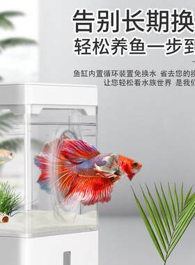 SQG免换水槽鱼鱼缸 桌面迷你生态鱼缸 塑料底部过滤懒人金鱼缸套