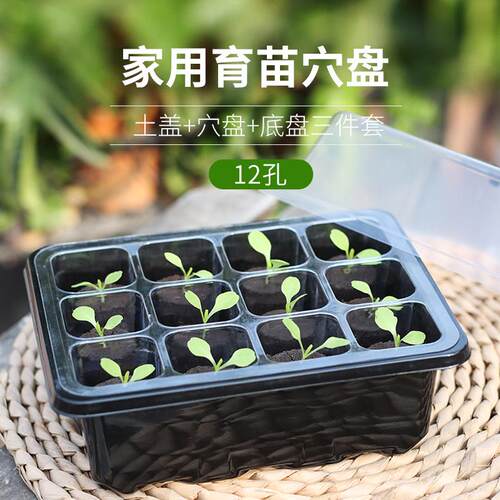 无土栽培育苗种植块塑料育苗盒水培基质植物播种盒扦插神器保温箱