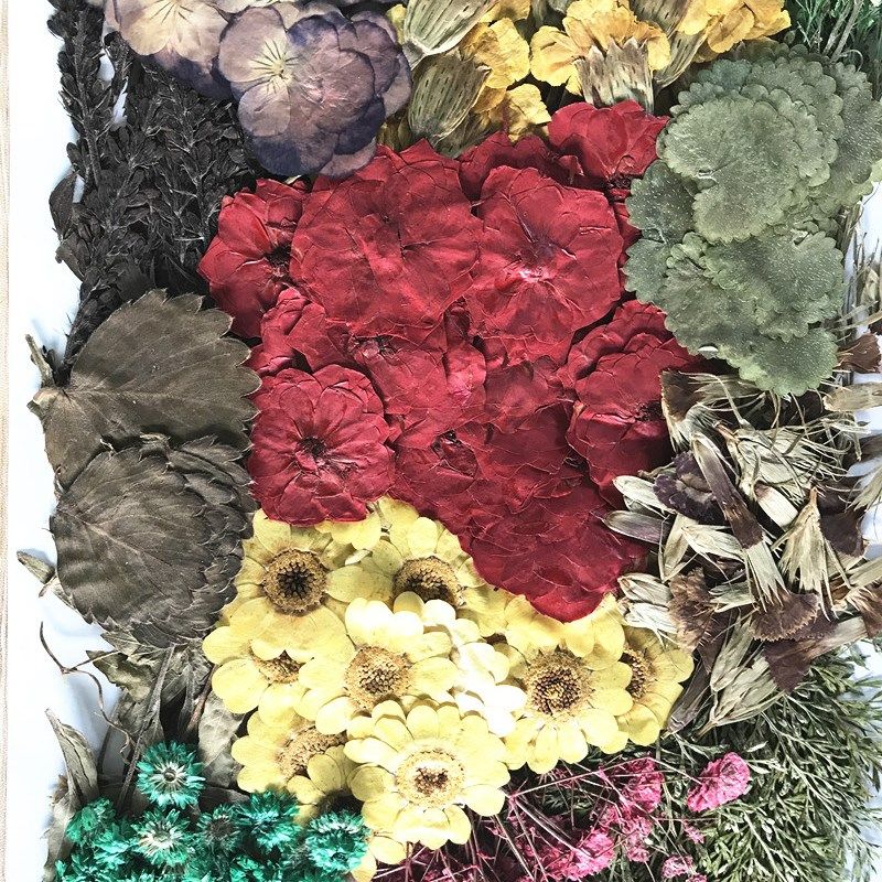 压花花材包260朵 押花花材包 押花材料 滴胶乾燥花DIY手工一件包