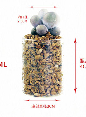 包邮特小试管花瓶迷你花器小号绿植物指尖水培瓶多肉玻璃瓶高颜值
