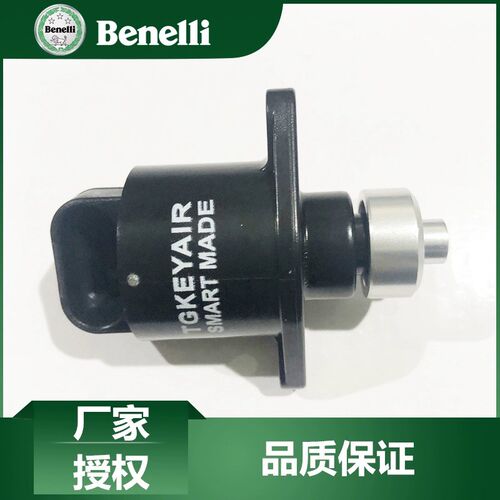 黄龙 BNTNT300巡航/欧版/黄龙BJ60C0GS/-A BN600怠速马达 步进电