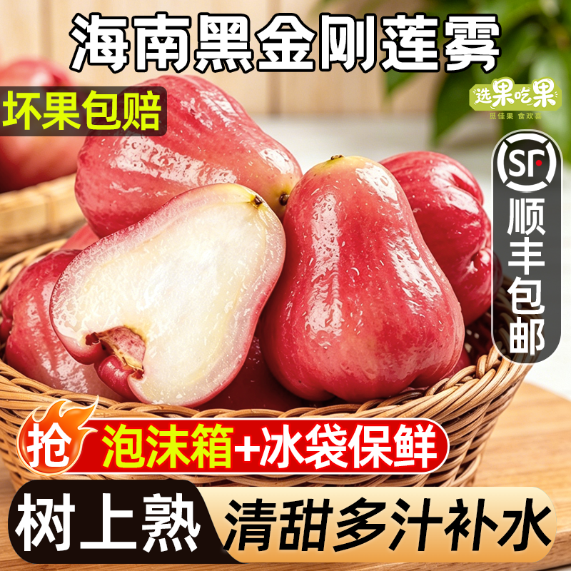 【顺丰冷运上门】海南黑金刚莲雾