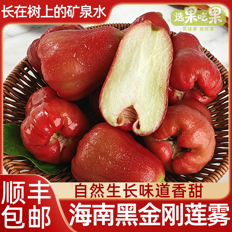 【顺丰冷运包邮】海南黑金刚莲雾