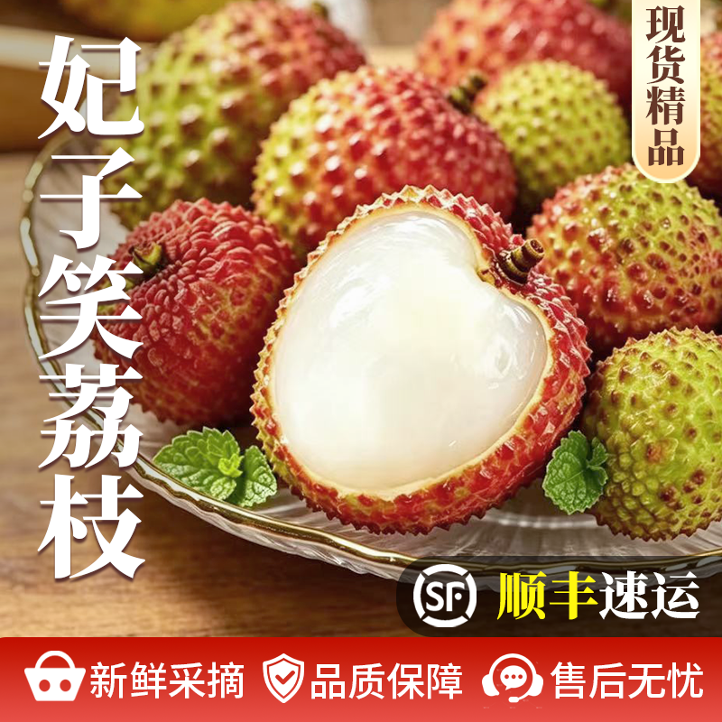 正宗海南妃子笑荔枝现摘现发