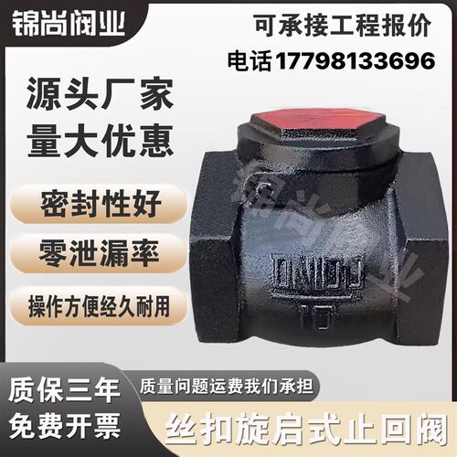 H14T-10丝扣旋启式止回阀 拍板摇摆止回阀止逆阀DN20 40 50 65 80
